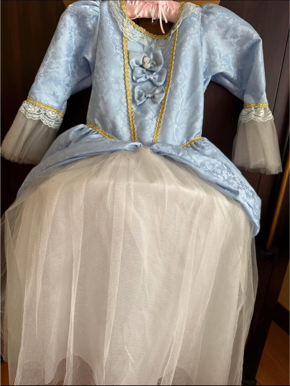 Marie Antoinette Dress and Wig Halloween Costume